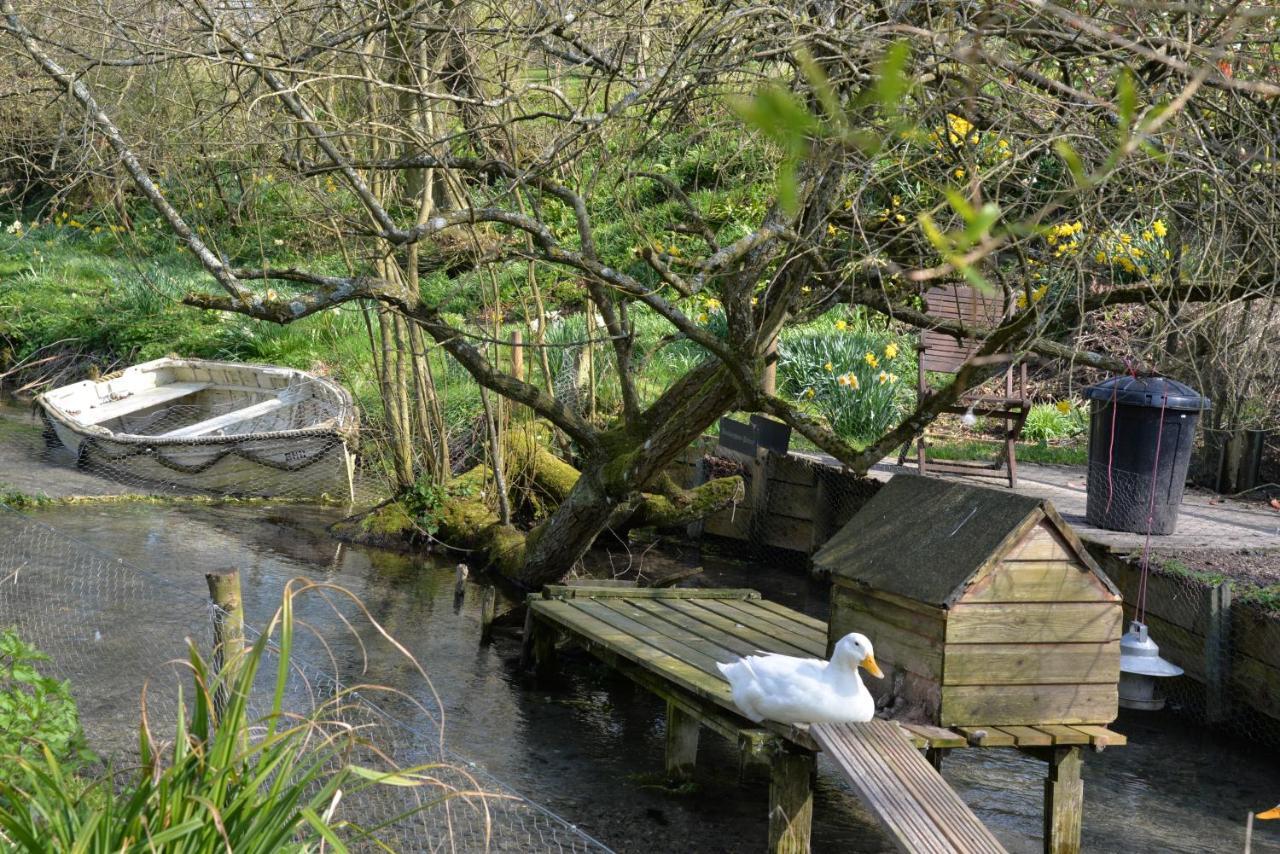 Thatchcombe B&B Wantage Eksteriør bilde